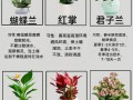 园林盆栽花卉种植有何独特意义？