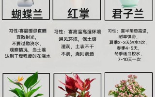 园林盆栽花卉种植有何独特意义？