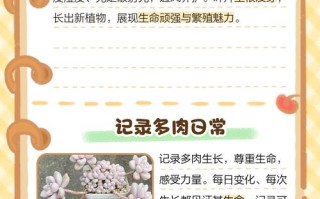 多肉叶子多久才会发芽