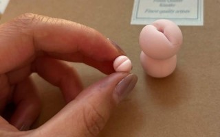 多肉小兔品种有哪些？