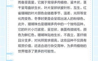 珊瑚掌多肉有何独特功效？