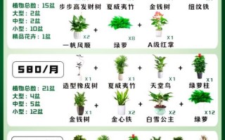 郑州盆栽绿萝价格现在多少？