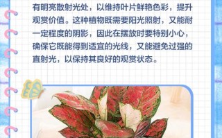 盆栽如意枯萎了还有救吗？