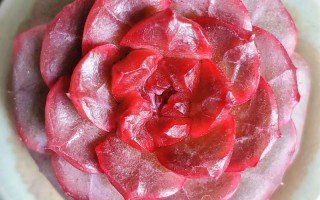 多肉植物红色品种叫什么？