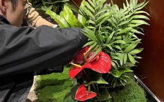 盆栽租售服务如何盈利？