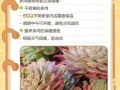 湖南多肉冬天怎么安全过冬？