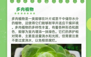 多肉养殖湿度多少最合适？