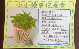 盆栽小标签该记哪些内容？