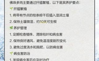 多肉佛珠水多了怎么办？