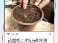 盆栽怎么提高土壤肥力