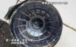 风信子营养液发霉了怎么办？