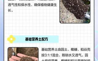 营养土盆栽需要松土吗