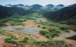 意大利新冠性肺炎疫情，意大利新冠性肺炎疫情最新消息