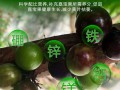 盆栽树葡萄施肥选哪种肥料好？