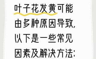 盆栽叶子发黄，缺啥？咋救？