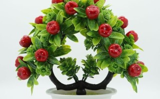 室内盆栽果蔬有哪些好品种？