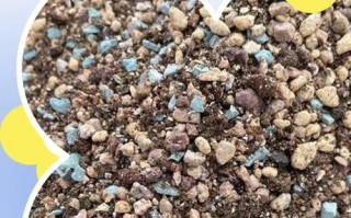 小苗多肉蛭土怎么配？