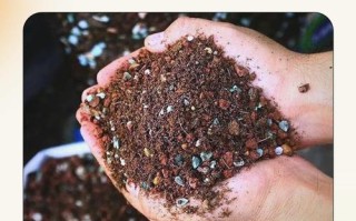 多肉配土怎么配？