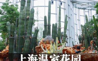 上海可参观的多肉基地
