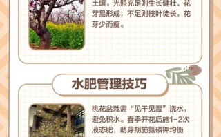 桃花盆栽怎么养才能花繁叶茂？