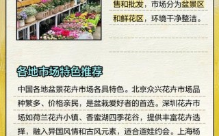 杭州滨江哪里能买到盆栽？