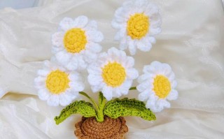 毛线编织盆栽花图片大全有哪些创意款式？