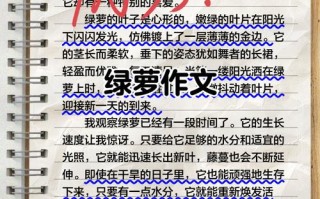 花卉组合盆栽方法如何优化搭配与养护？
