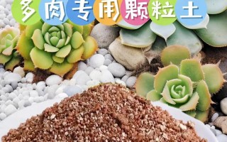 多肉能用普通土种吗？