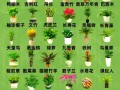 中国所有盆栽花图片名称哪里能查全？