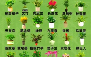 中国所有盆栽花图片名称哪里能查全？