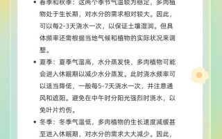 多肉栽种后多久浇水合适？