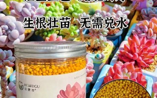 多肉肥料能直接撒土面吗？