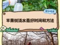 冬天盆栽果树如何正确浇水？