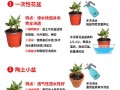 盆栽花卉如何判断该浇水？