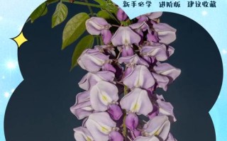 盆栽紫藤怎么换地栽？