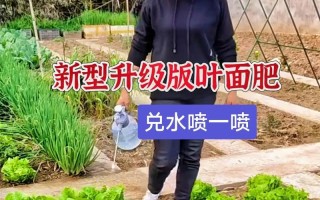 盆栽叶面喷施哪种肥水好？