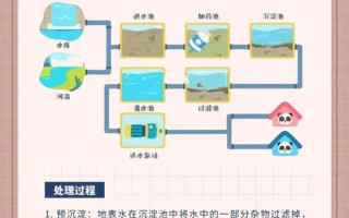 自来水公司如何养水培植物？