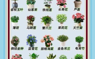 艺术盆栽如何养护管理？