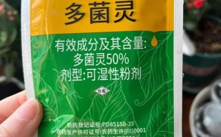 多肉冬天浇多菌灵会伤根吗？