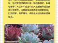 水培多肉生根后怎么移栽养护？