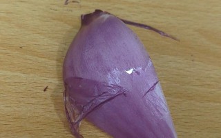 紫色洋葱状水培植物是什么？