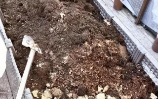 植物盆栽土壤要填满吗