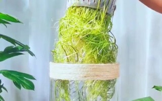 水培能用颗粒肥吗？