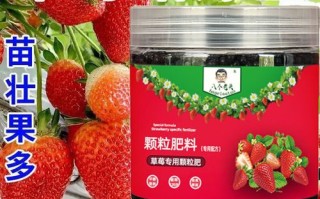 盆栽草莓复合肥撒多少合适？
