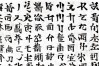 抗新冠击疫情，抗击新冠肺炎疫情