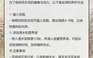 百合花苞水培怎么养才能开好花？