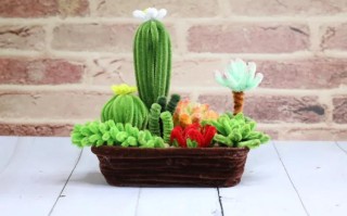 手工多肉盆栽图片欣赏