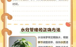 水培绿萝黄叶是缺营养还是根系问题？