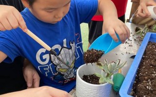 孩子多肉种植图片有哪些经典造型？