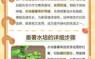 水培番薯水里加什么能促生长？